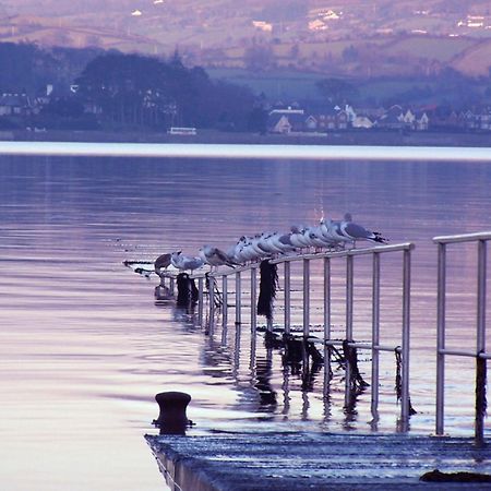 The Oystercatcher Lodge Carlingford Exterior foto